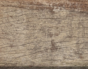 Old Wood Texture