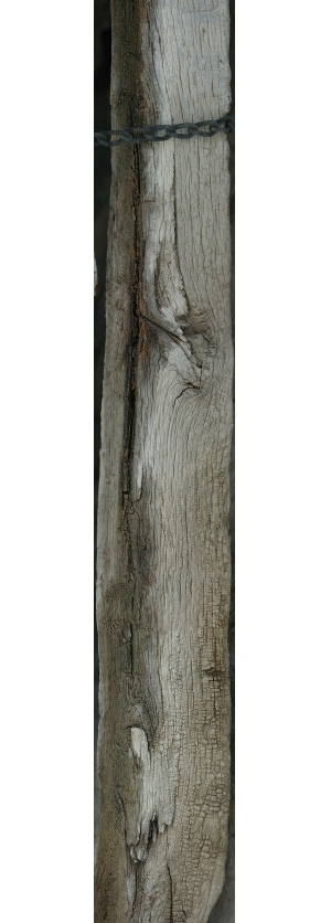 Old Wood Texture