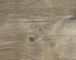 Old Wood Texture