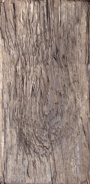 Old Wood Texture