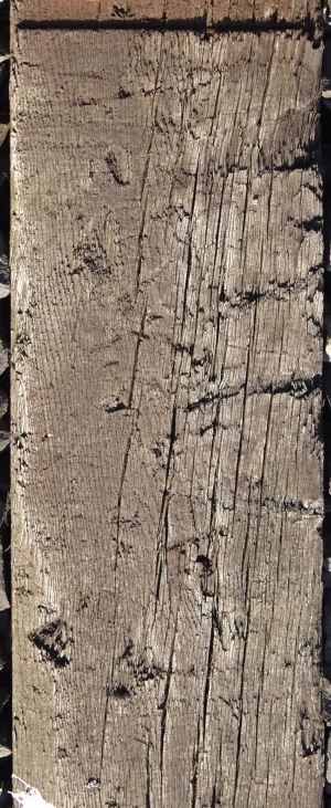 Old Wood Texture