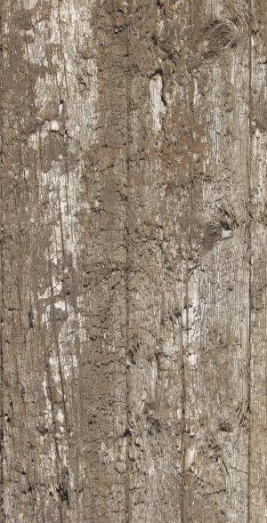 Old Wood Texture