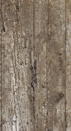 Old Wood Texture