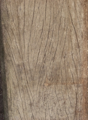 Old Wood Texture