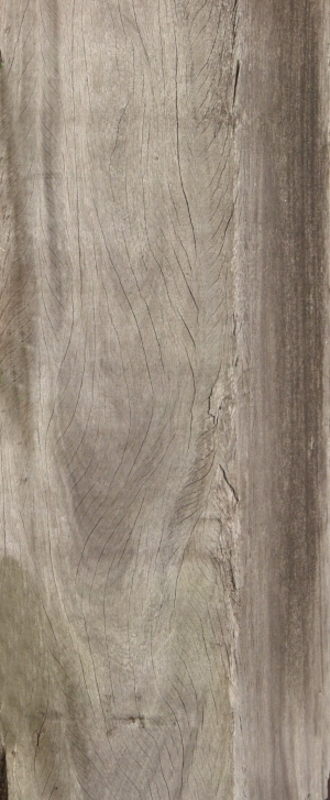 Old Wood Texture