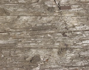 Old Wood Texture