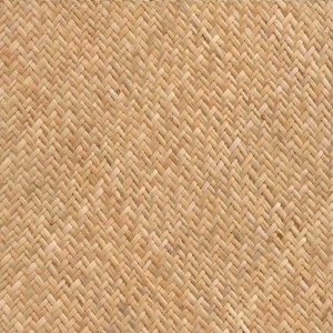 Rattan Texture