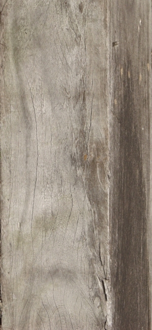 Old Wood Texture