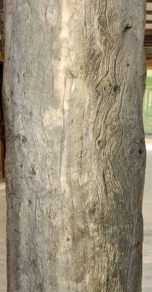 Old Wood Texture