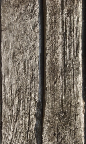 Old Wood Texture