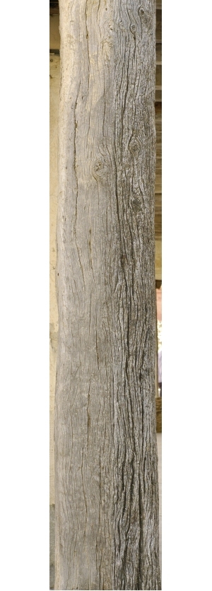 Old Wood Texture