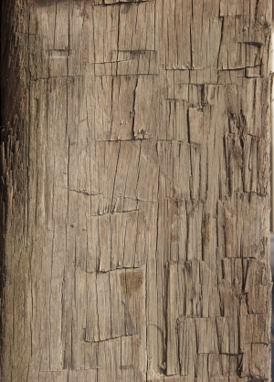 Old Wood Texture