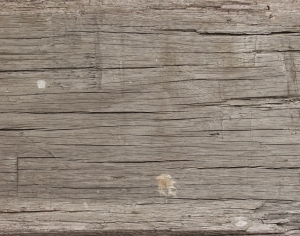 Old Wood Texture