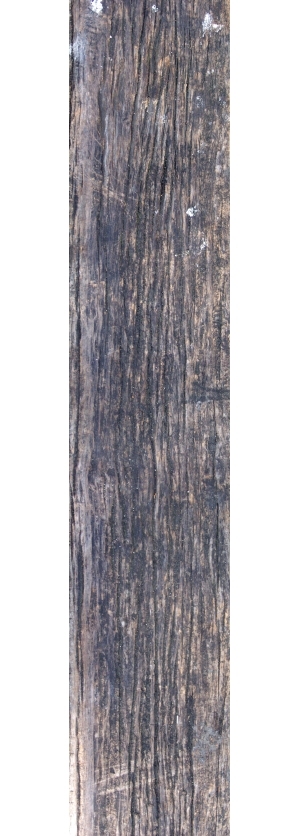 Old Wood Texture