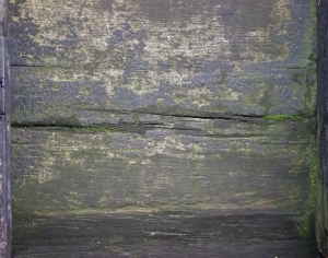 Old Wood Texture