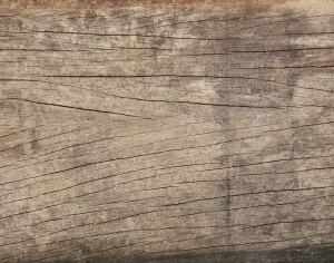 Old Wood Texture