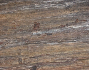 Old Wood Texture