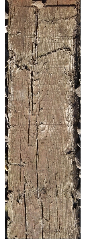 Old Wood Texture