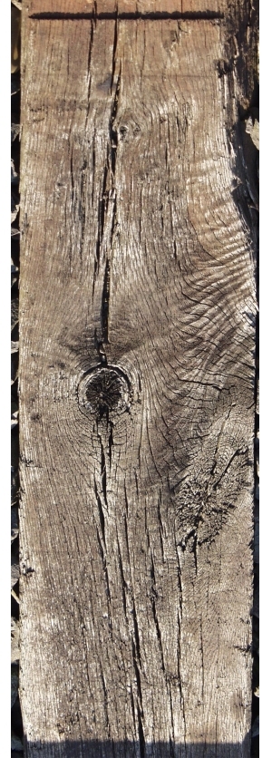 Old Wood Texture