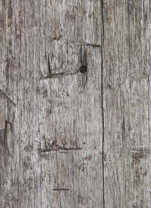 Old Wood Texture