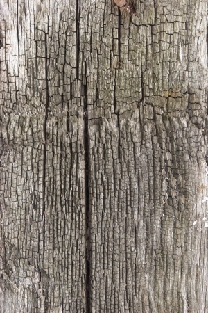 Old Wood Texture