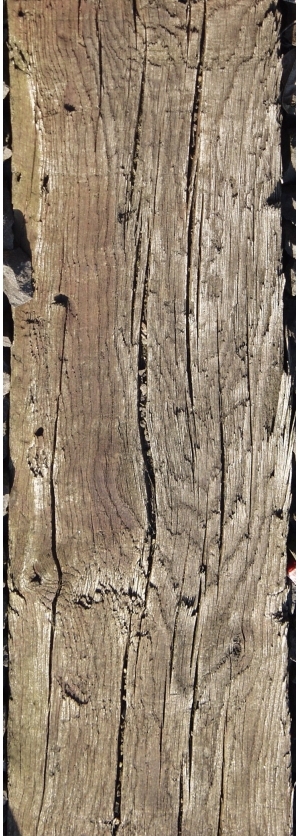 Old Wood Texture