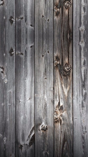 Old Wood Texture