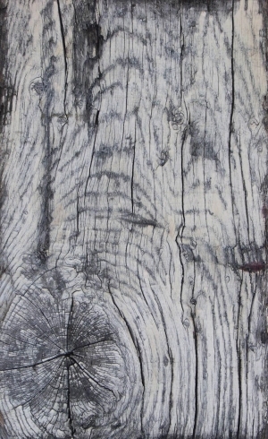 Old Wood Texture