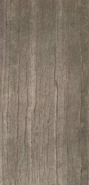 Old Wood Texture