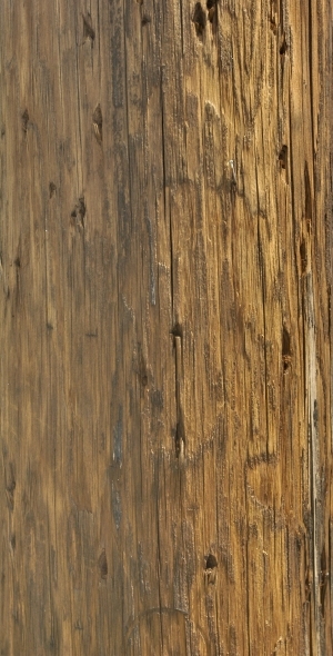 Old Wood Texture