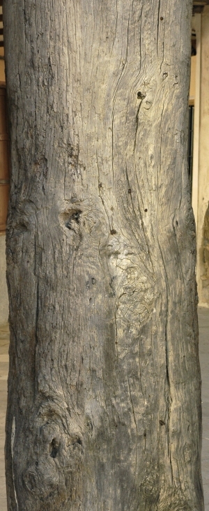 Old Wood Texture