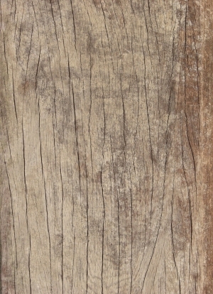 Old Wood Texture