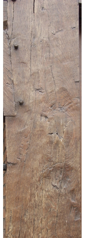 Old Wood Texture