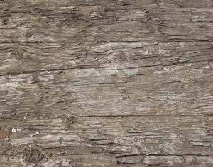 Old Wood Texture