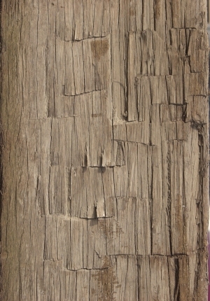 Old Wood Texture