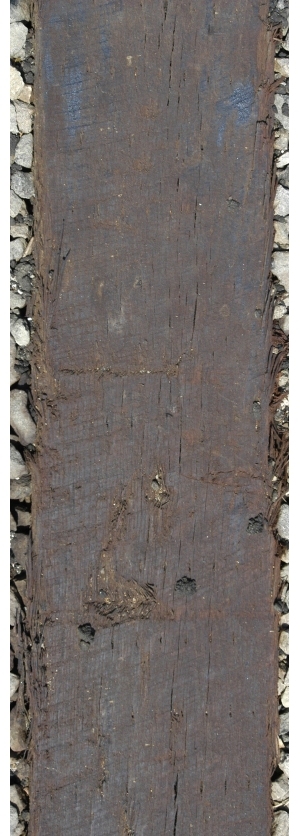 Old Wood Texture