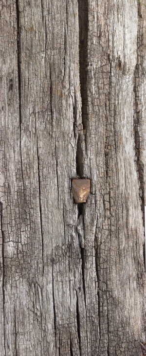 Old Wood Texture