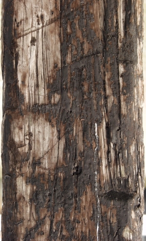 Old Wood Texture