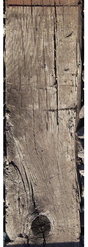 Old Wood Texture