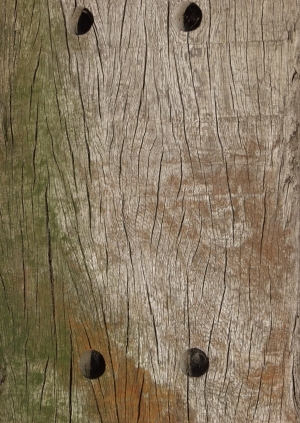 Old Wood Texture