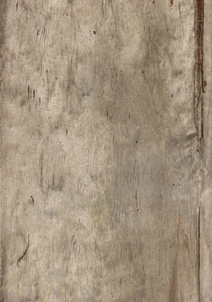 Old Wood Texture