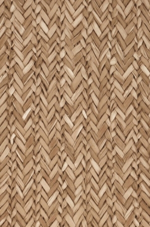 Rattan Texture