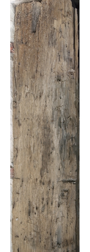 Old Wood Texture