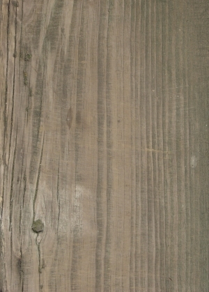 Old Wood Texture