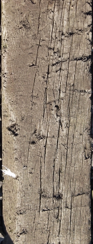 Old Wood Texture