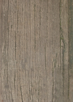 Old Wood Texture