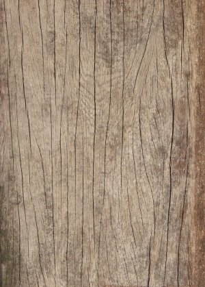 Old Wood Texture