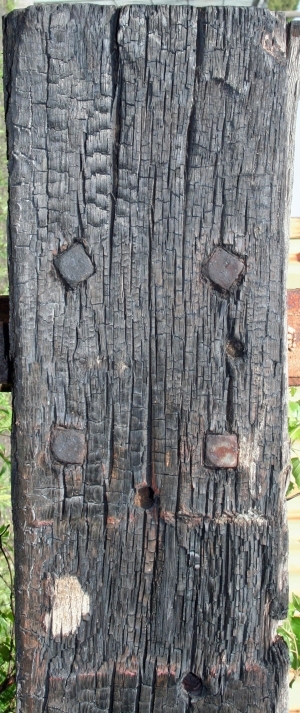 Old Wood Texture