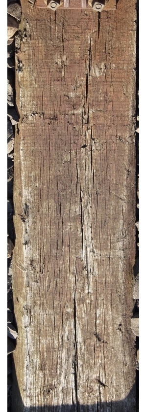 Old Wood Texture