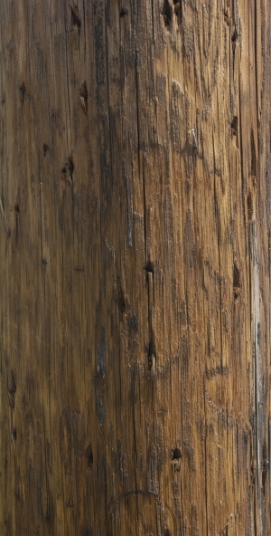 Old Wood Texture